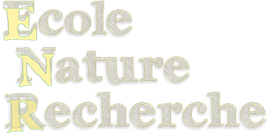 Ecole Nature Recherche Logo